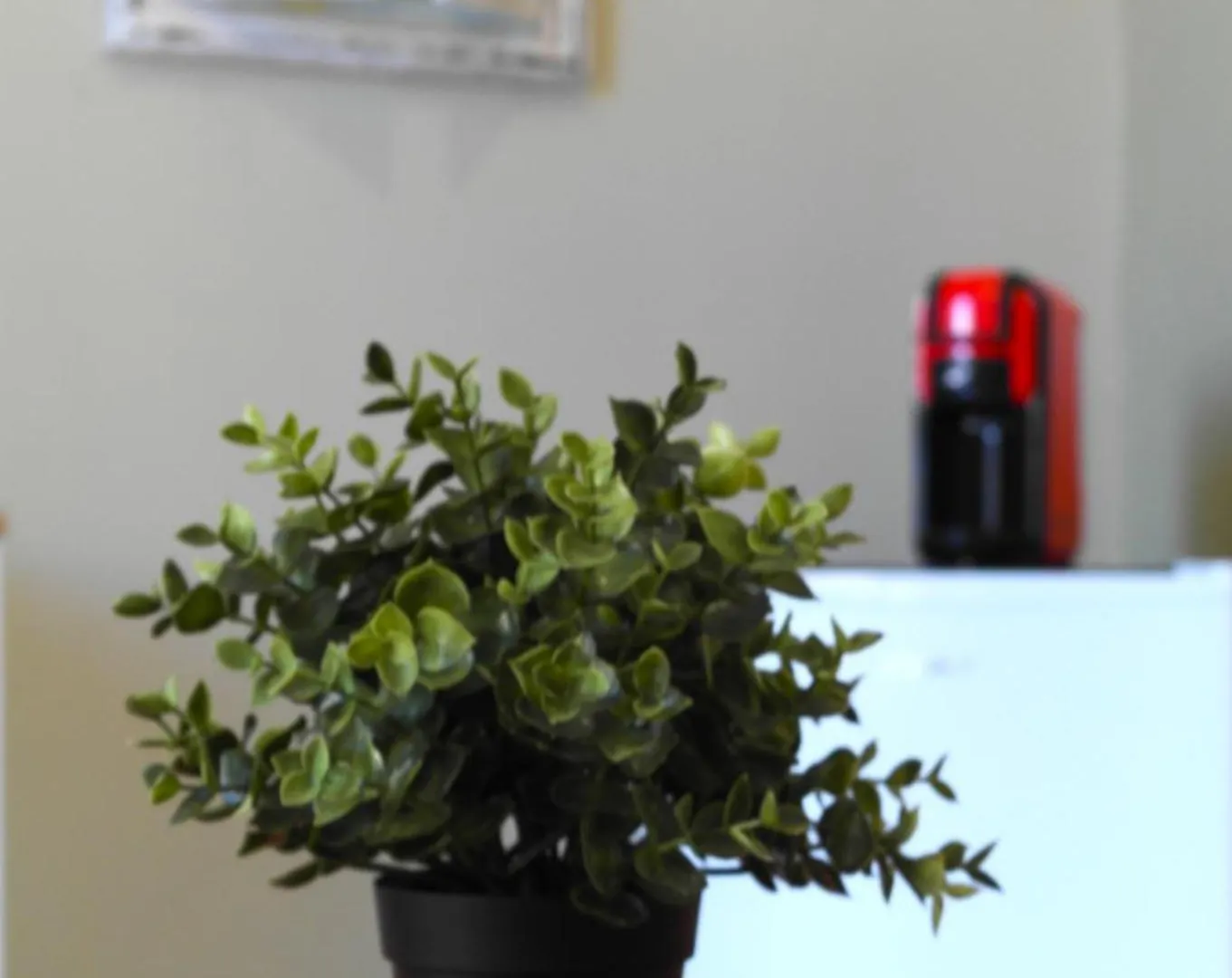 Guest house Napulera House Hotel Naples